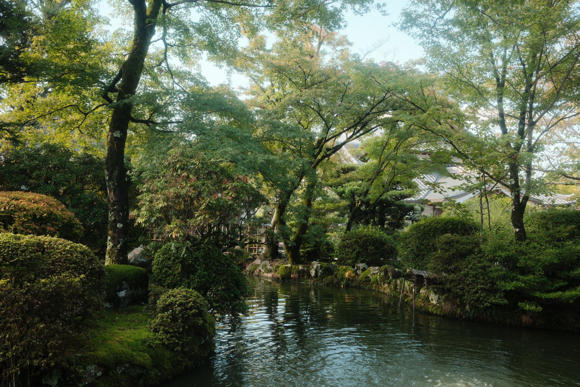 A peaceful Japanese garden in Kyoto featuring lush greenery and a calm pond.