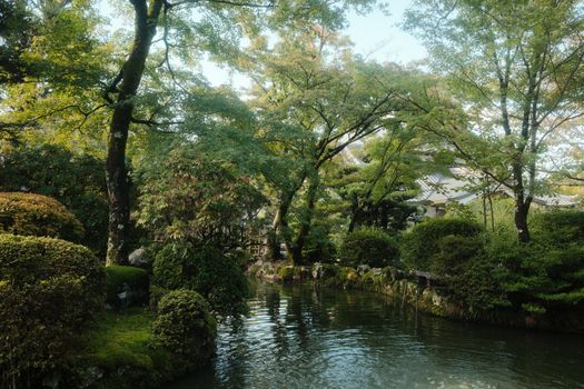 japanese garden peaceful