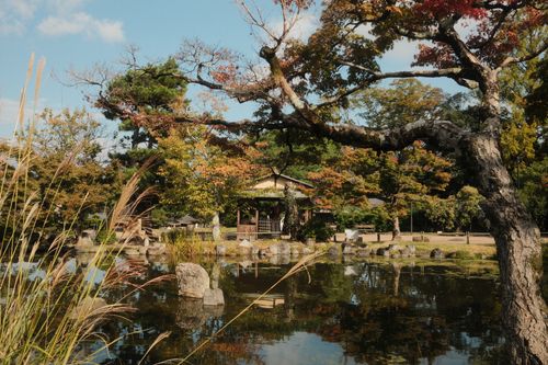 Free Serene autumn view of a traditional Japanese garden in Kyoto, Japan, with vibrant foliage. Stock Photo