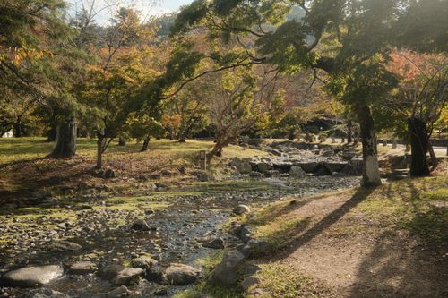 Free Tranquil autumn scene with a flowing stream and colorful leaves in a Kyoto park. Stock Photo