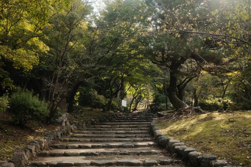 Free Tranquil stone steps leading through a verdant forest in Kyoto, Japan, capturing nature's calm beauty. Stock Photo