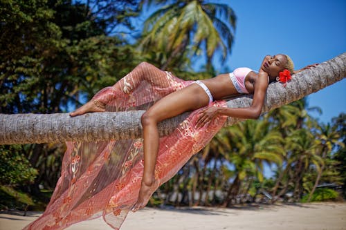 Shallow Focus Photo of Woman Lying on Coconut Tree