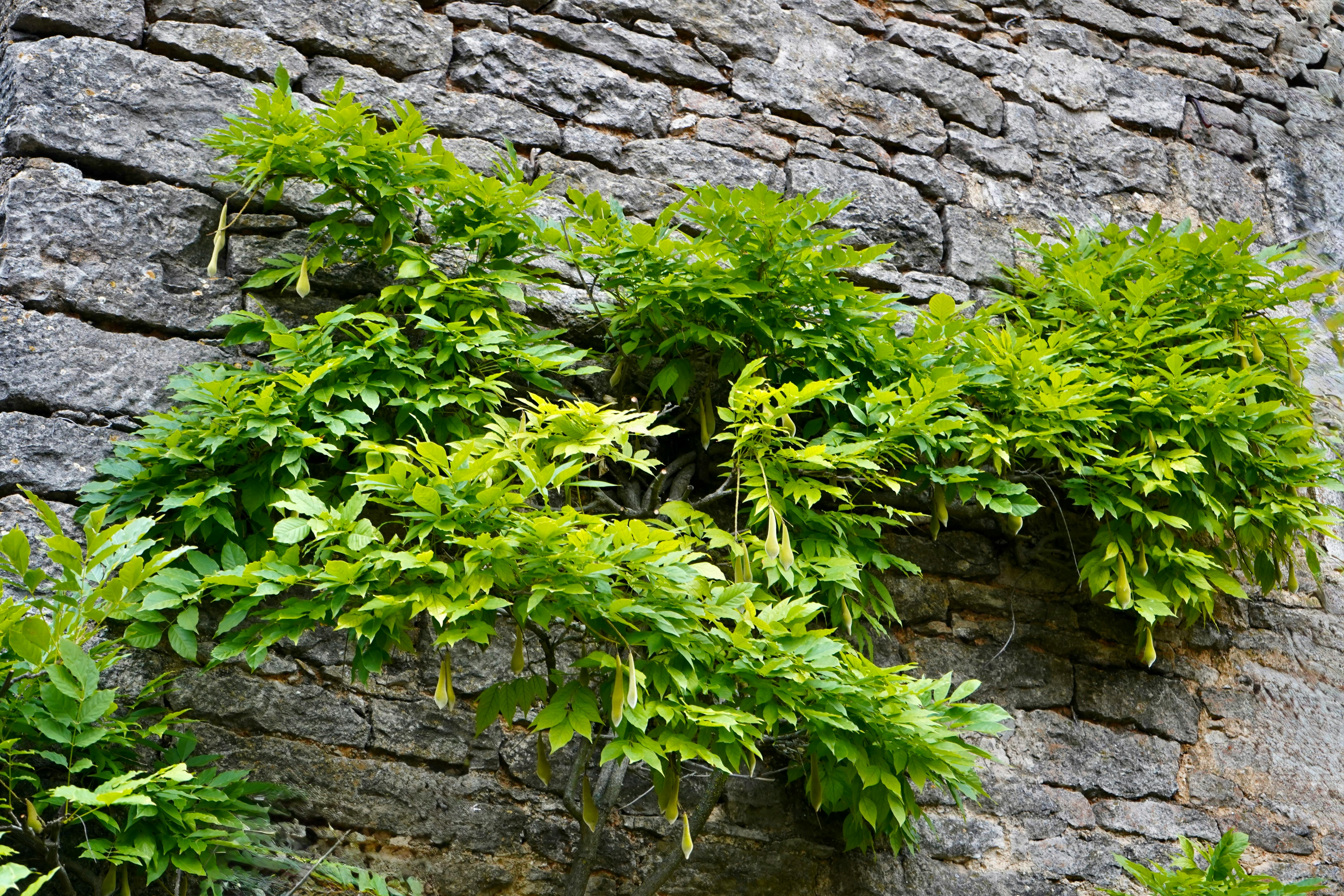 Mystery of Ancient Civilizations Solved: The Significance of Bloodlines