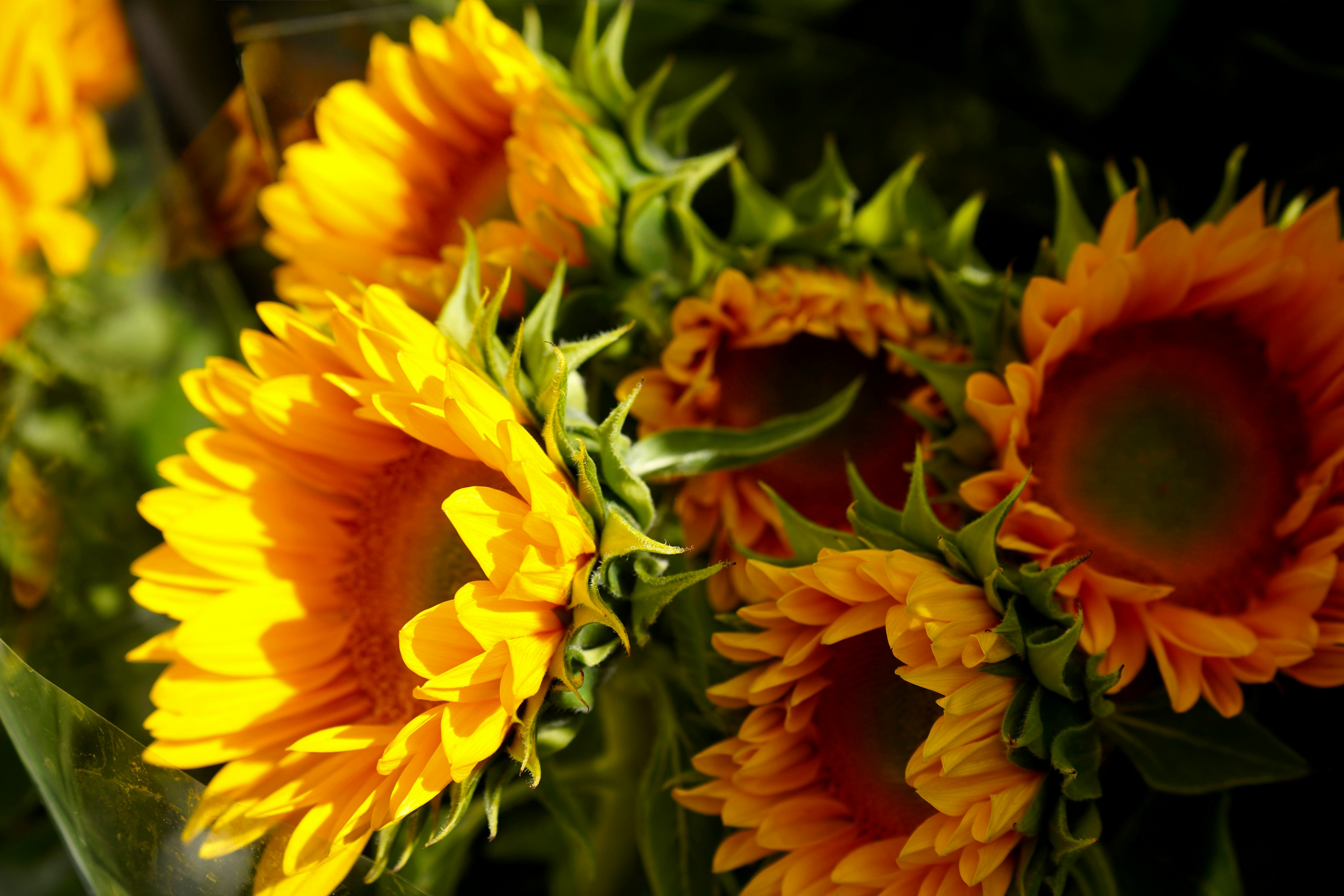 Boost Your Charm and Confidence: Essential Tips for Personal Growth