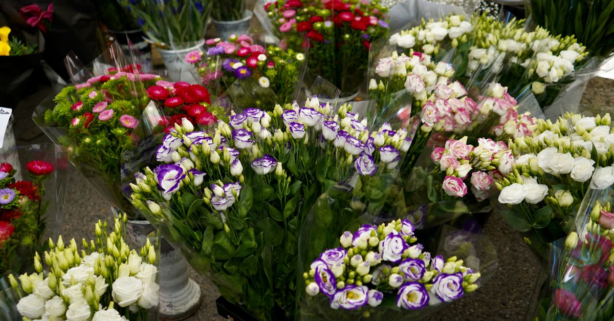 Marché aux fleurs : Guide des plus beaux