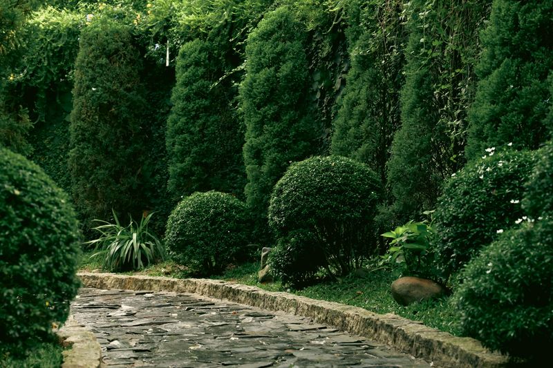 Caminho de jardim paisagístico