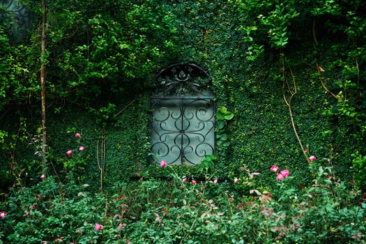 Elegant iron gate set in a vibrant, ivy-covered wall with blooming roses.