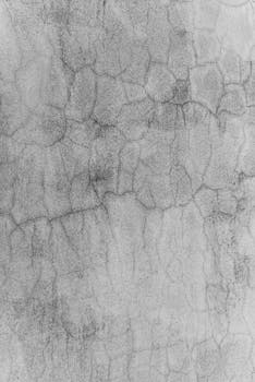 Black and white image of a cracked, textured wall surface.
