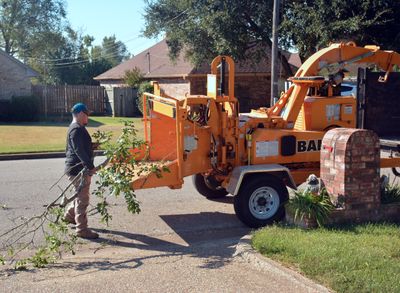 Worker feeding tree branches into a wood chipper during cleanup