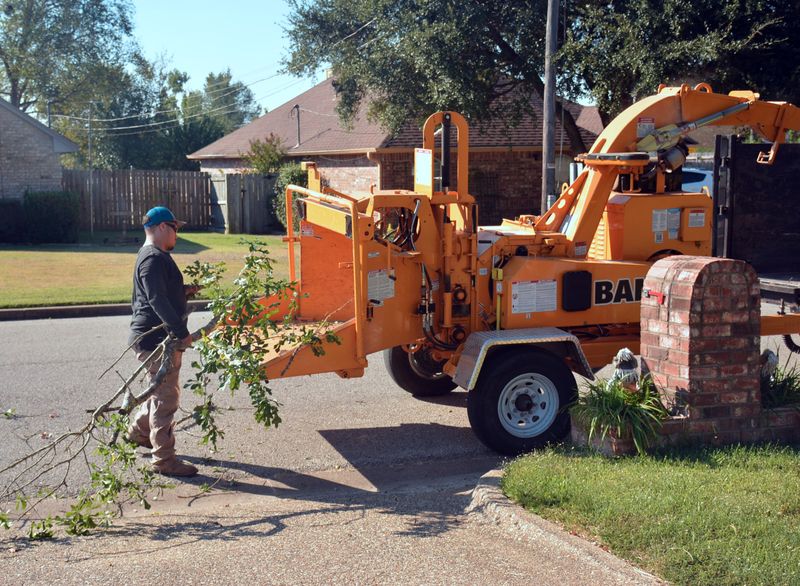Operator running a wood chipper to process tree branches