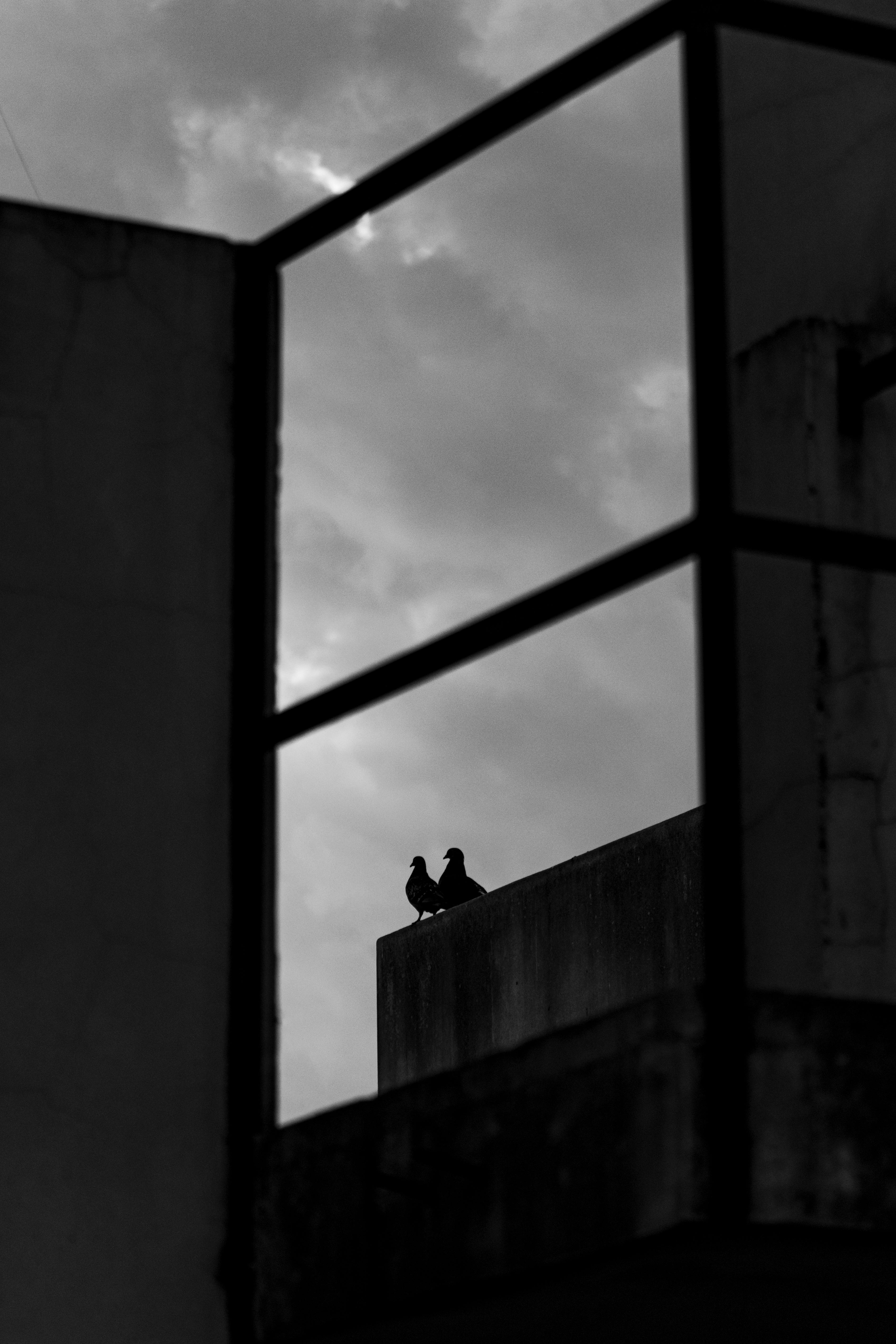 gratis Zwart-wit silhouet van vogels op een dak, omlijst door een raam met een bewolkte lucht in Buenos Aires. Stockfoto