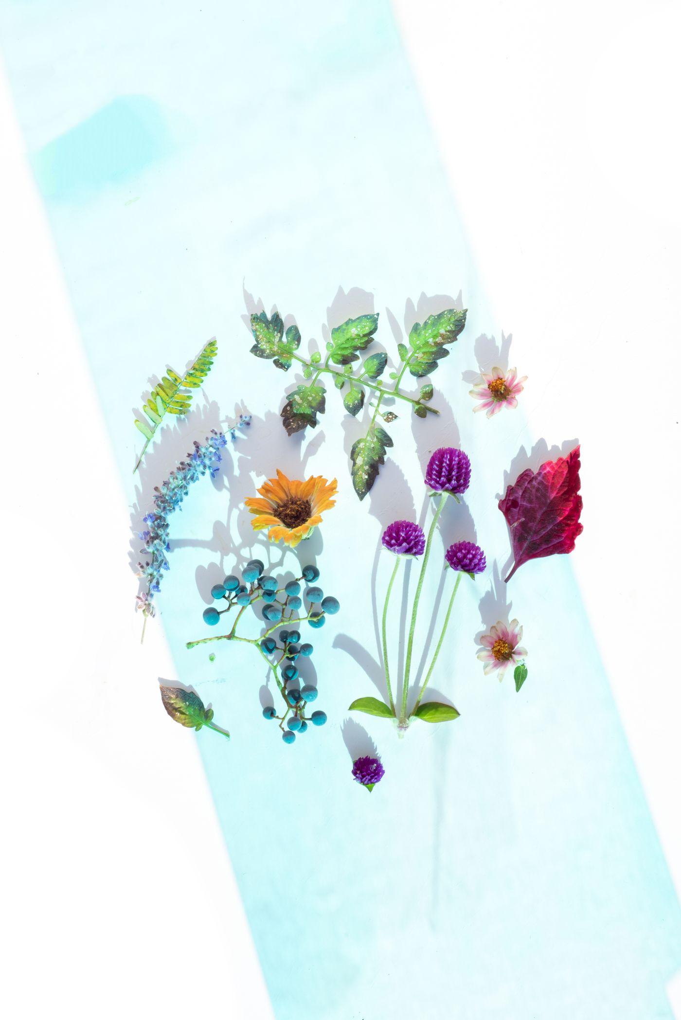 A bright flat lay of colorful flowers and tropical leaves