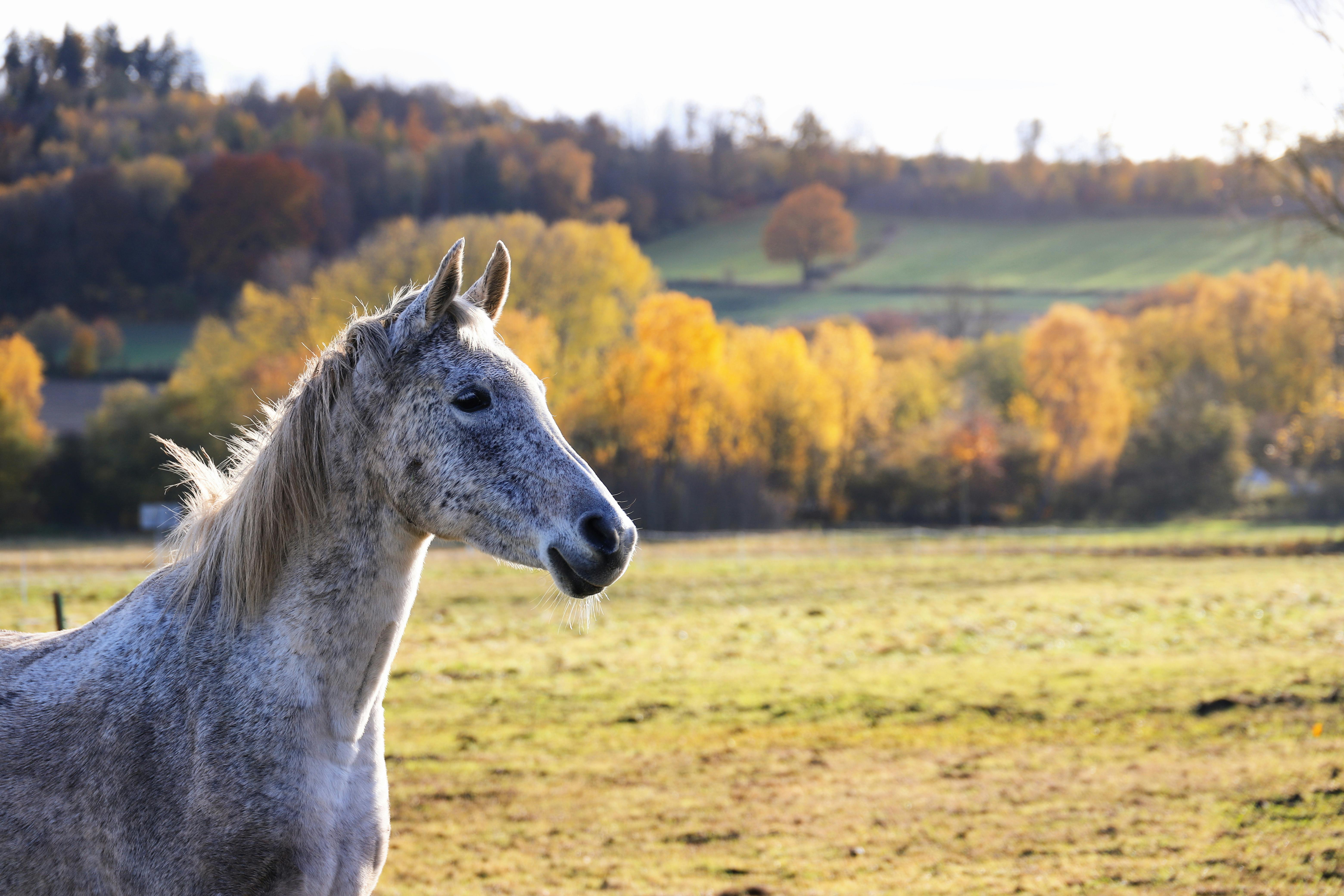 生活：詹妮弗·安妮斯頓男友首度曝光！獨家照片搶先看