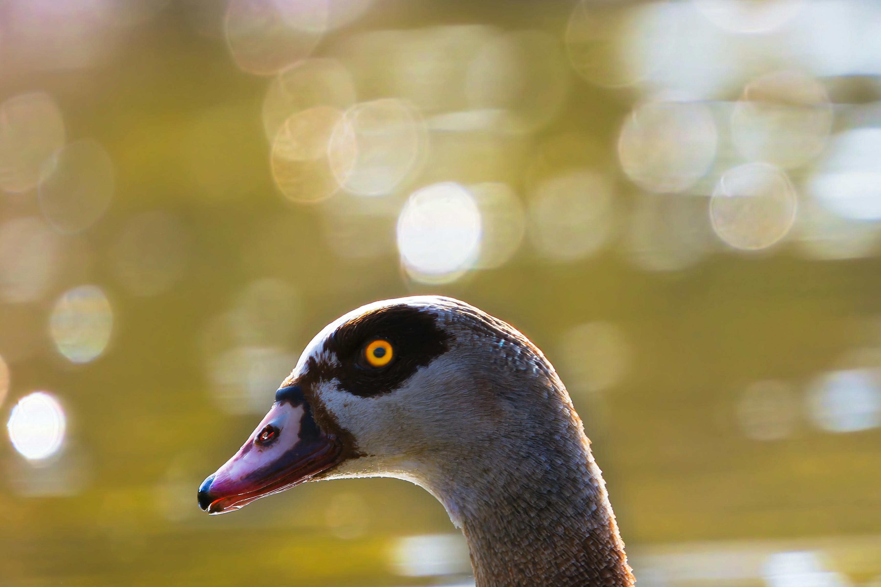 生活：揭秘《老友記》偶像年輕時光，珍貴照片首次公開