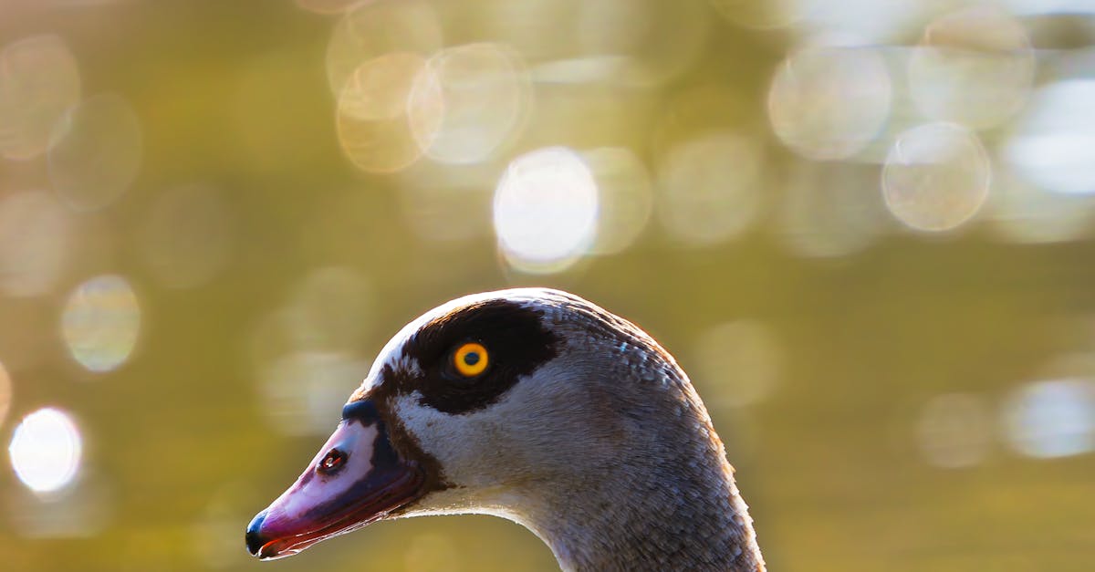 生活:揭秘《老友記》偶像年輕時光,珍貴照片首次公開