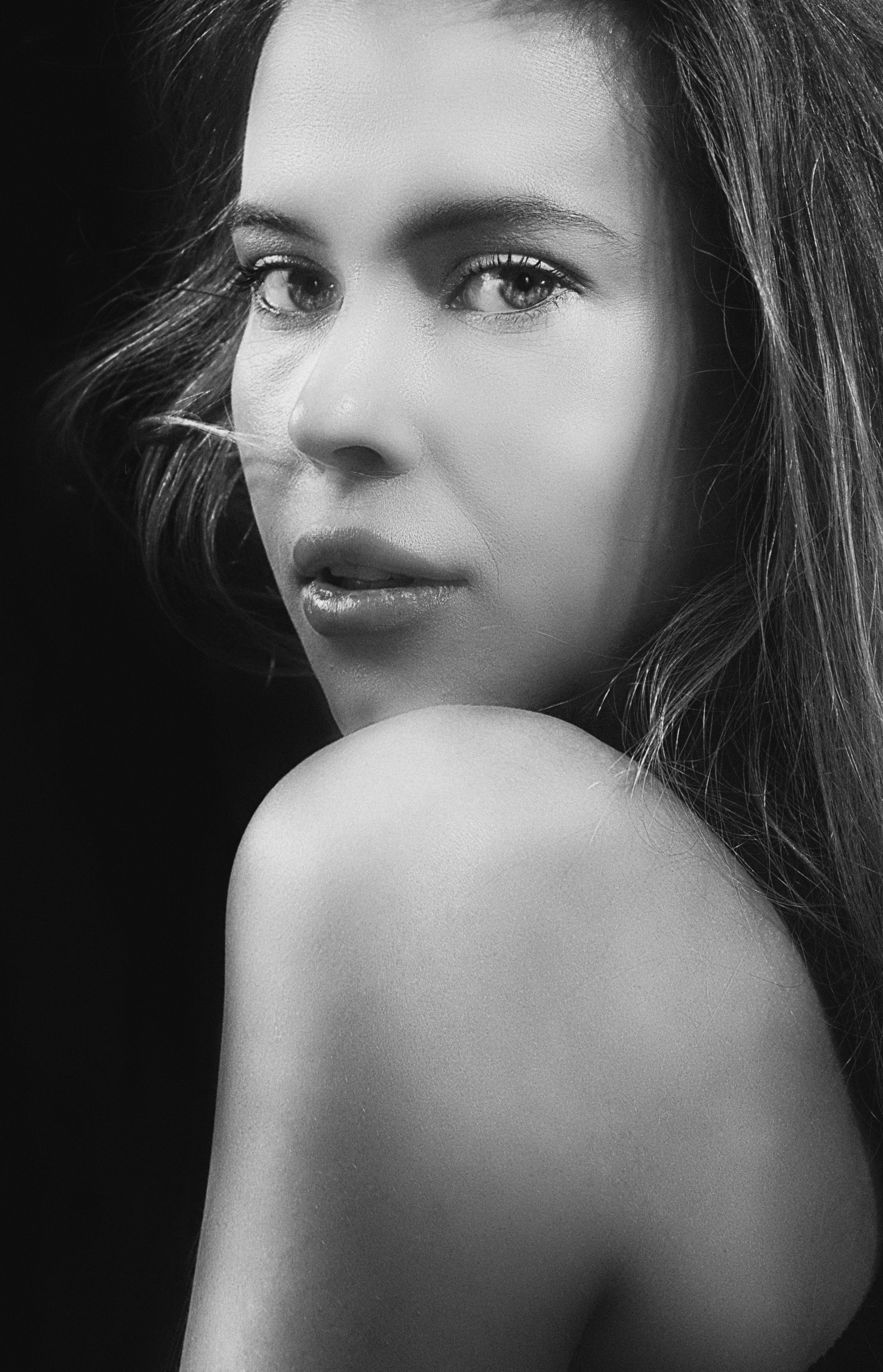 Elegant Black and White Portrait of a Woman · Free Stock Photo