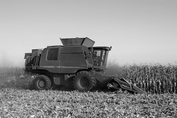 Grayscale Photo Of Harvester