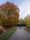 walk in the park