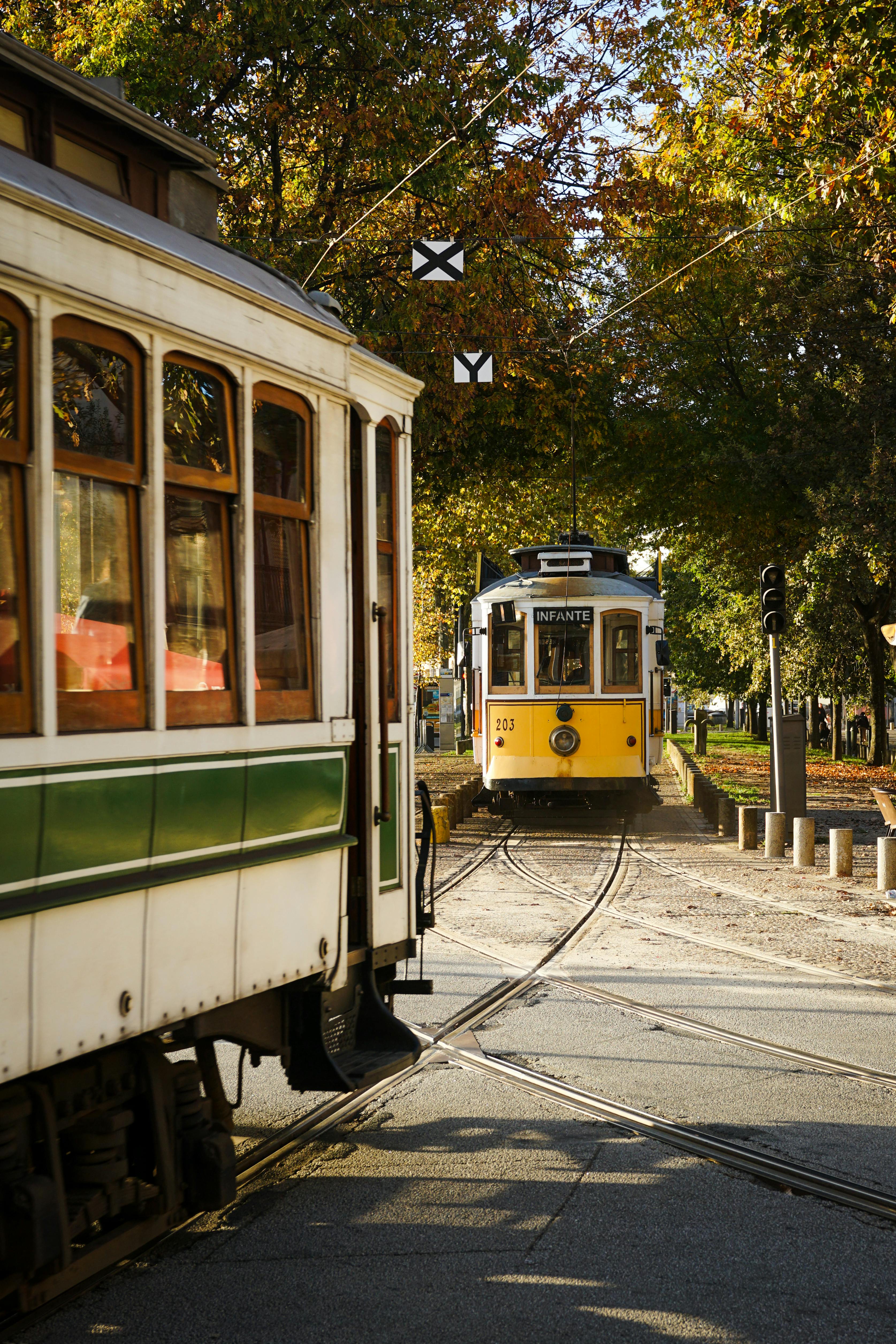 A nostalgic view of vintage trams amidst colorful autumn foliage, creating a classic urban scene.
