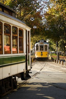 A nostalgic view of vintage trams amidst colorful autumn foliage, creating a classic urban scene.