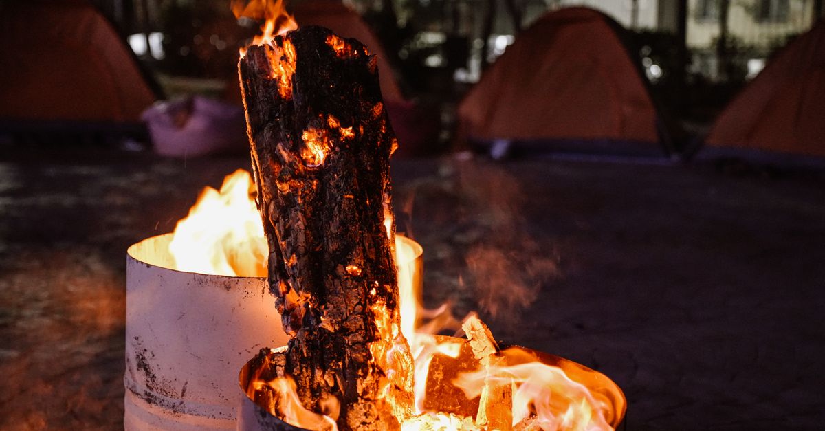 Bear Grylls Kampı