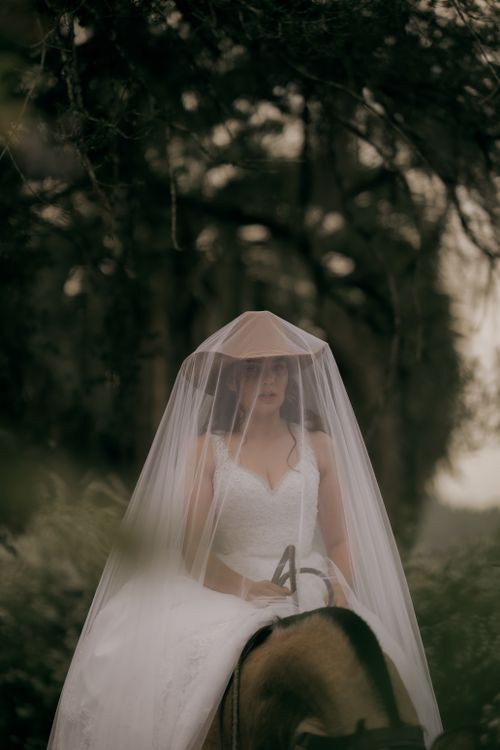 Free Bride in veil and dress riding horse in misty forest, dreamy and elegant. Stock Photo