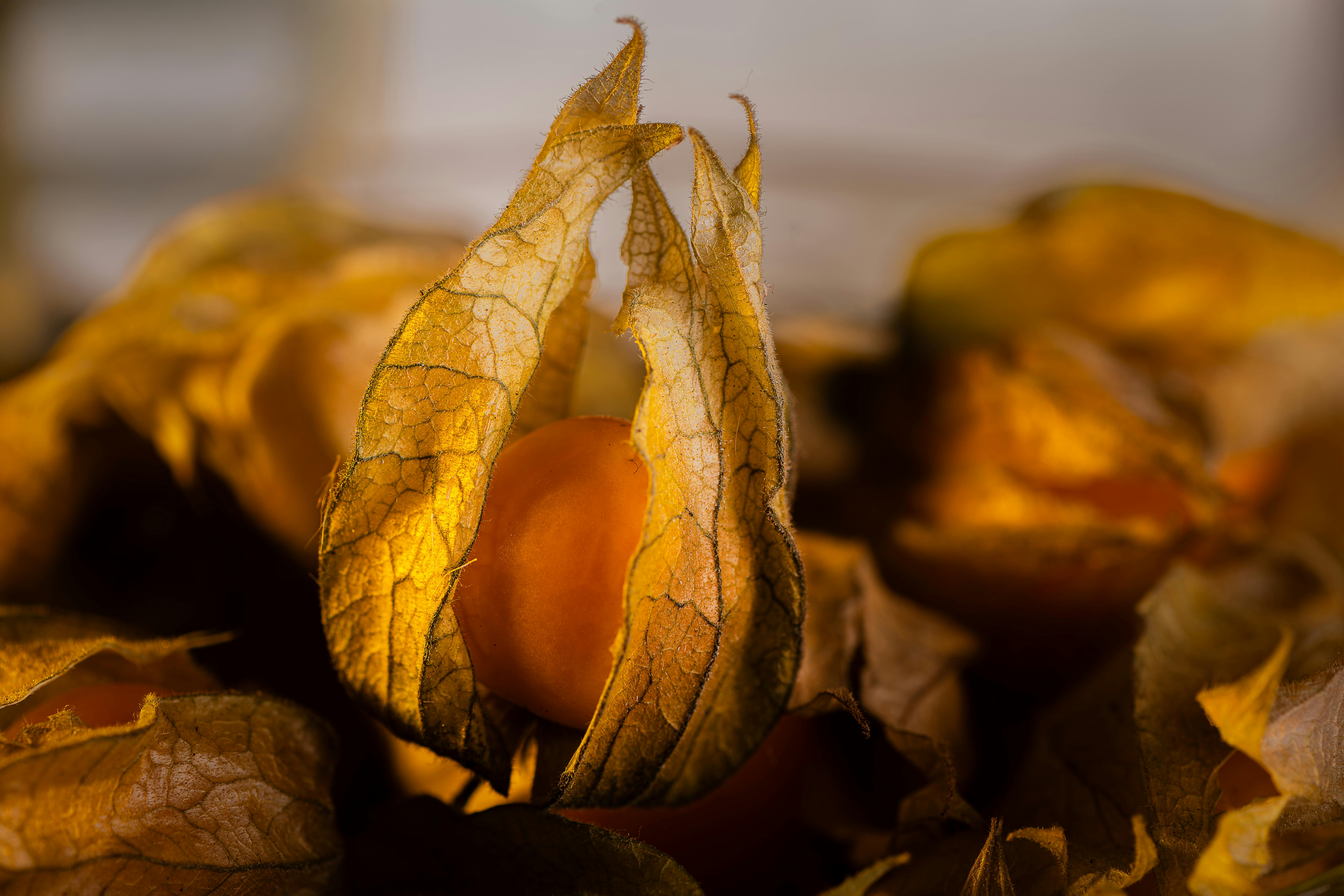 Understanding the Chemical Composition of Perfumes