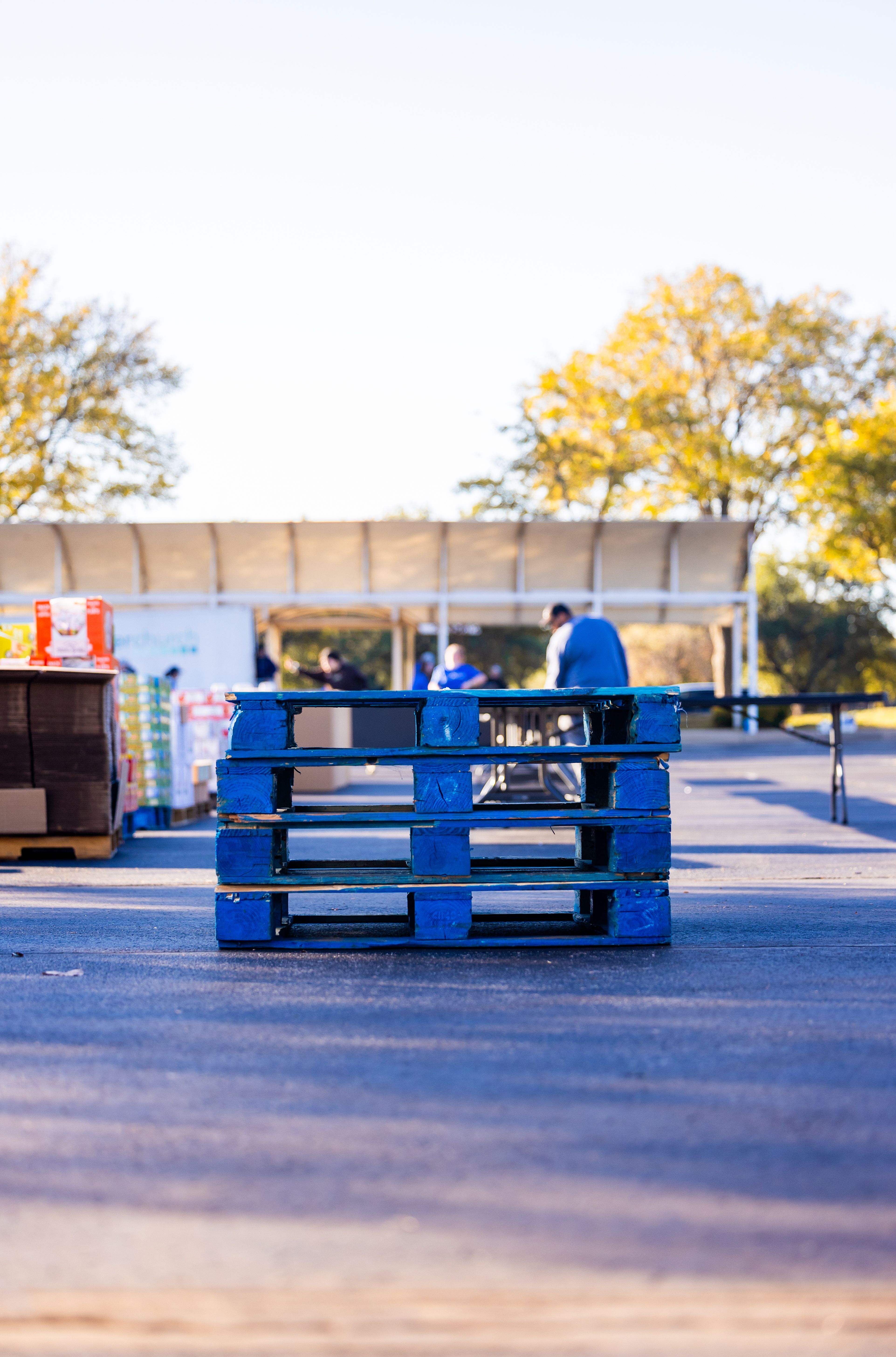 Blue Pallets at Outdoor Shipping Area · Free Stock Photo