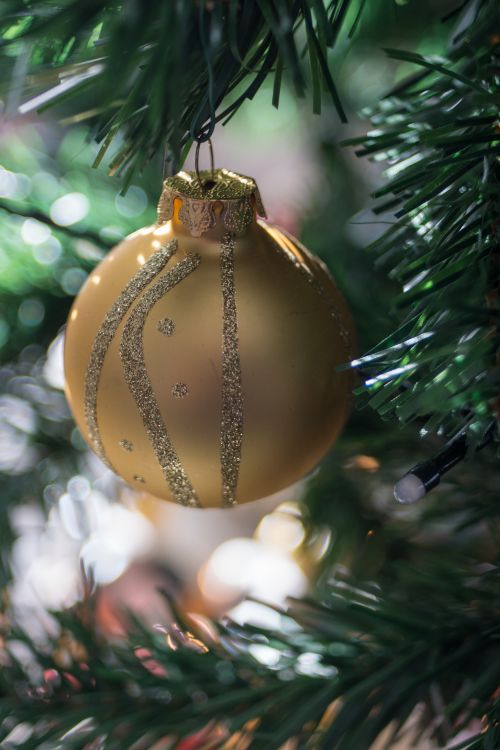 Free Close-up of a golden bauble with glitter designs on a Christmas tree, capturing holiday decoration details. Stock Photo