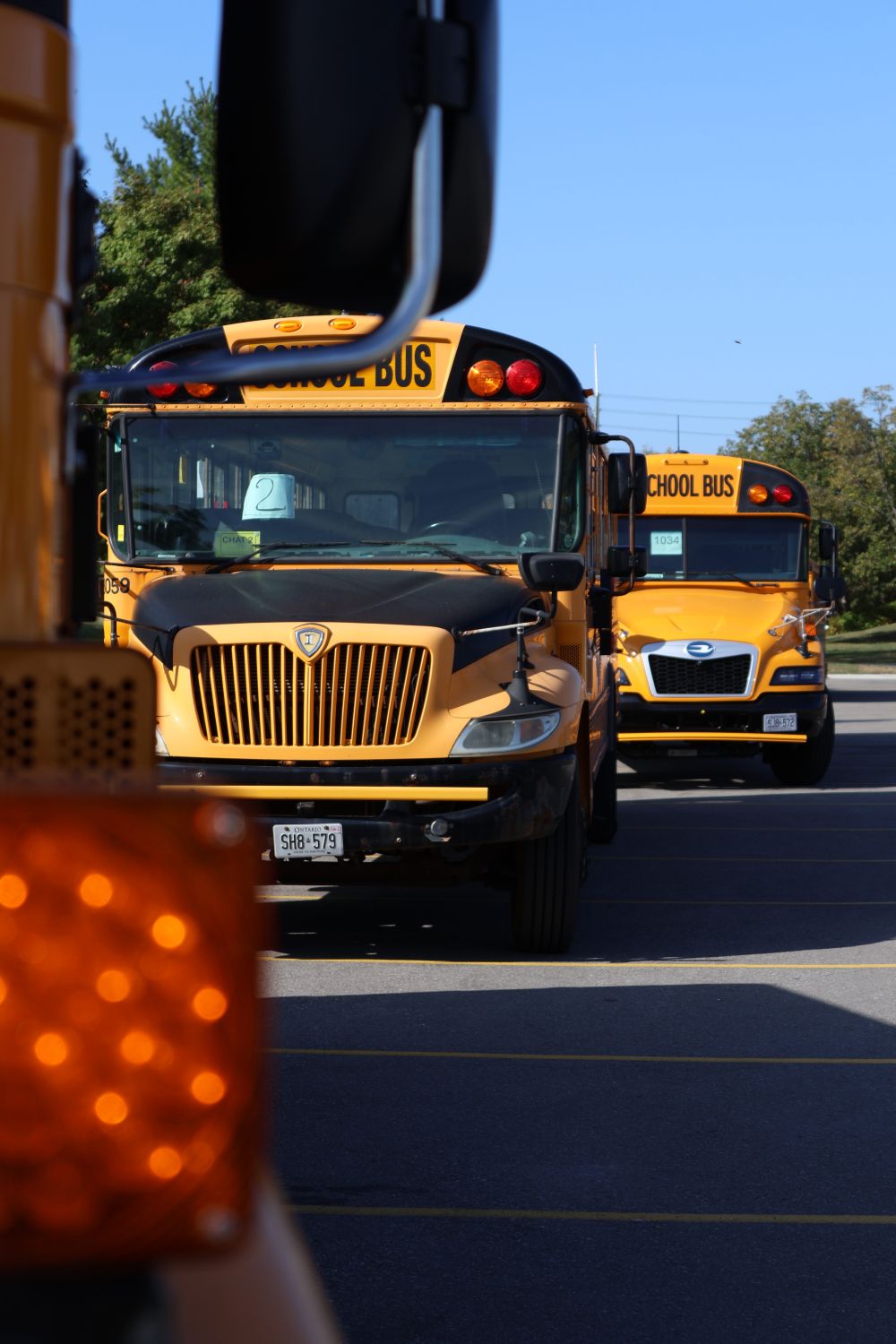 Disable Yellow Bus Yellow School Buses in Parking Lot in Daylight · Free Stock Photo