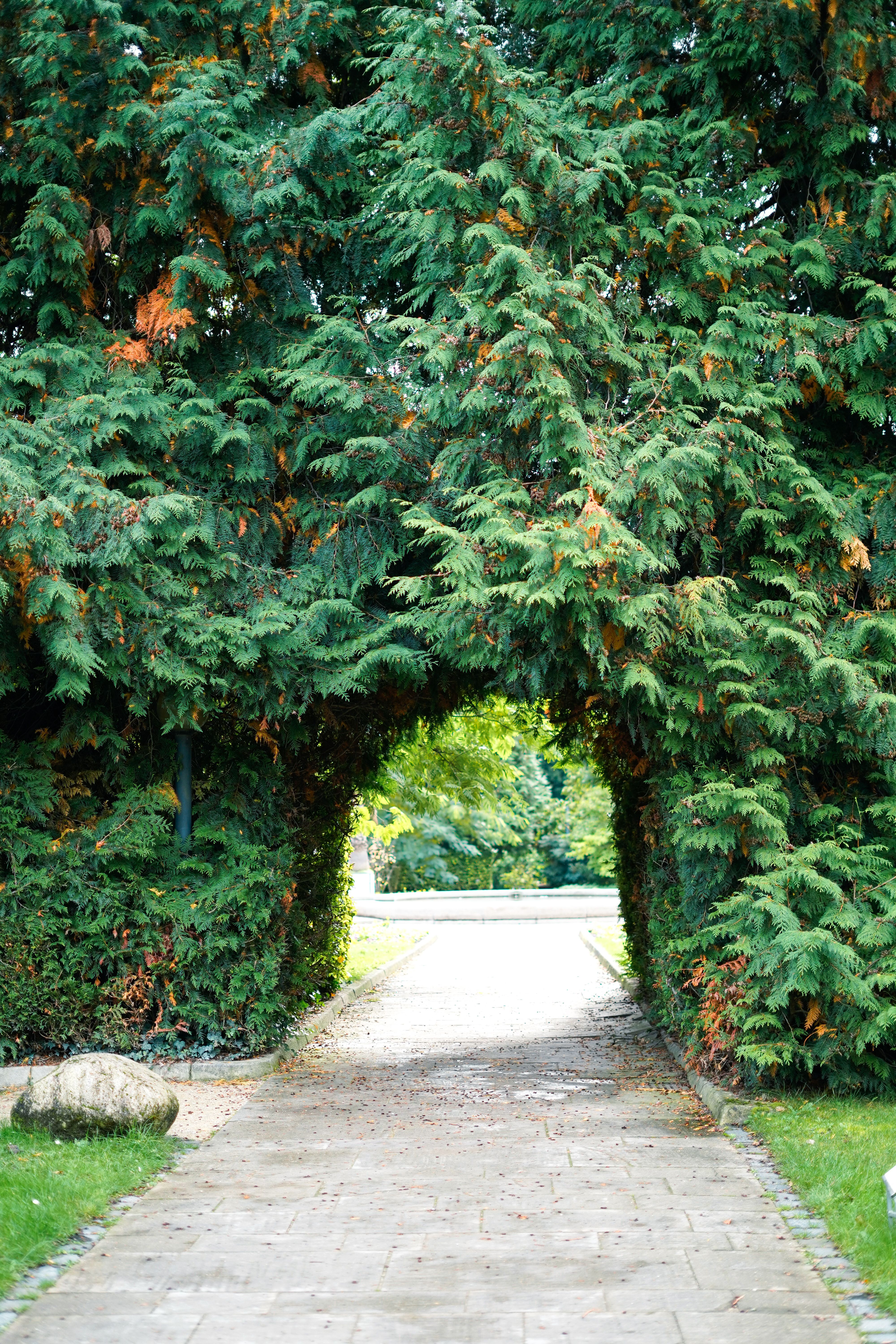 Scenic Green Archway Pathway in Garden · Free Stock Photo