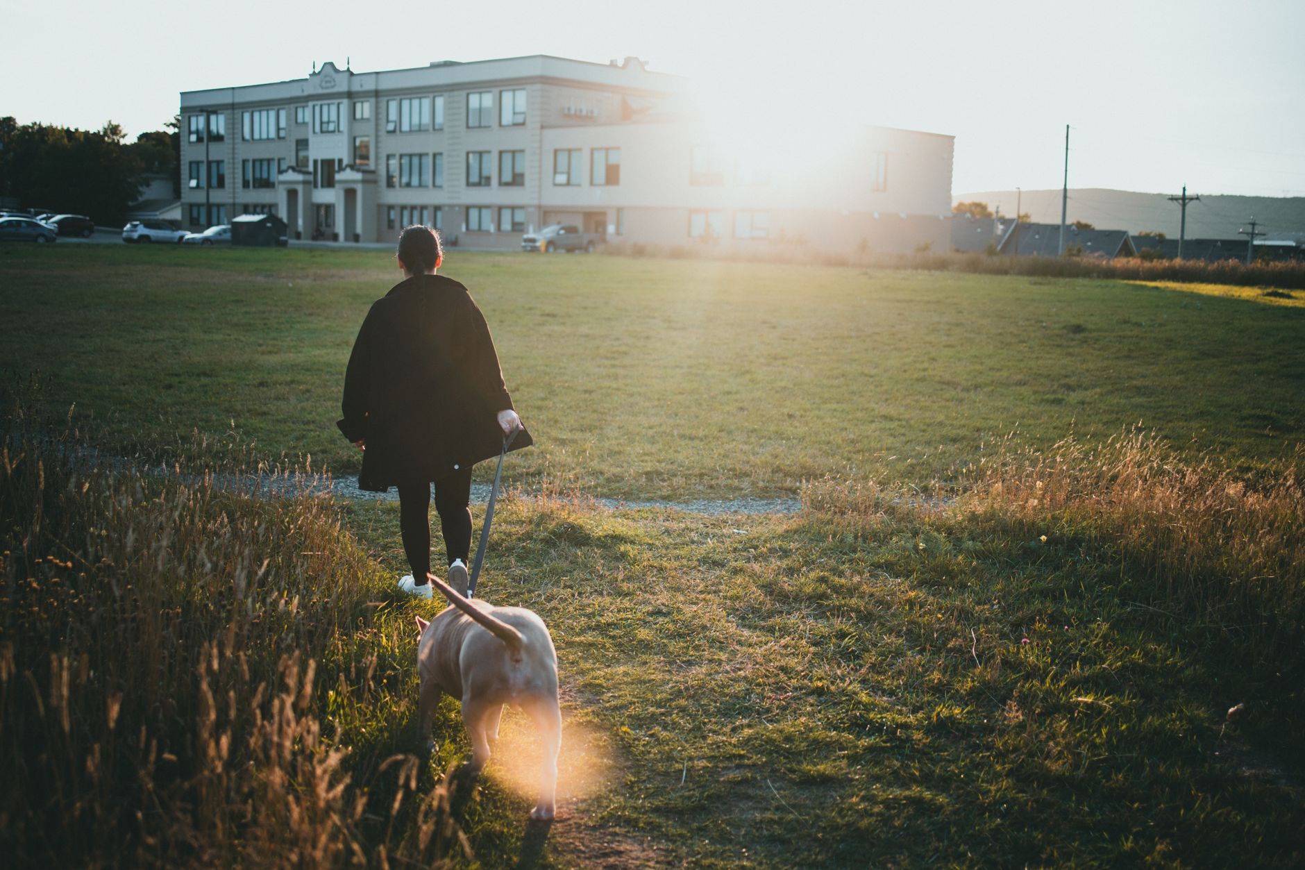 Person walking a dog on a leash through a residential neighbourhood