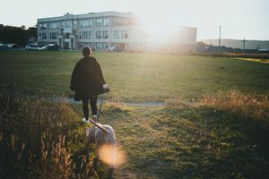 Someone walking a dog