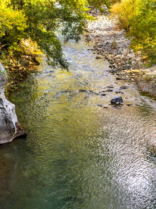 Free Peaceful river flowing between trees in autumn, creating a tranquil natural scene. Stock Photo