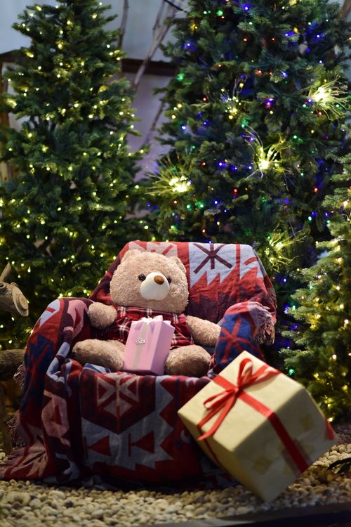 Free Teddy bear in chair with gifts among Christmas trees and festive lights, creating a warm holiday ambiance. Stock Photo