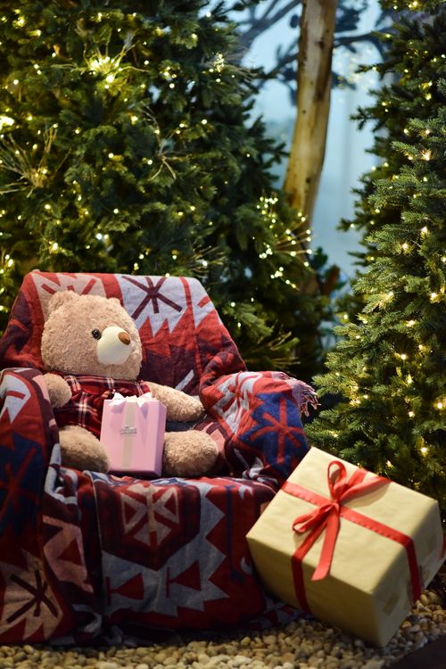 Free Festive holiday scene featuring a teddy bear with Christmas gifts amidst decorated trees. Stock Photo