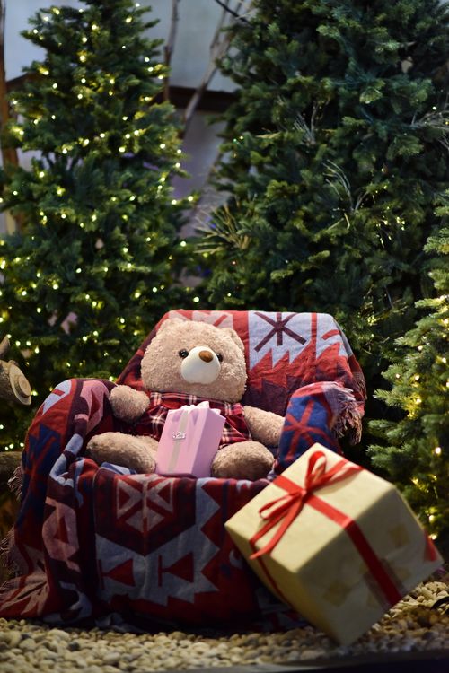 Free Festive Christmas setting with a teddy bear, gifts, and Christmas trees lit with fairy lights. Stock Photo