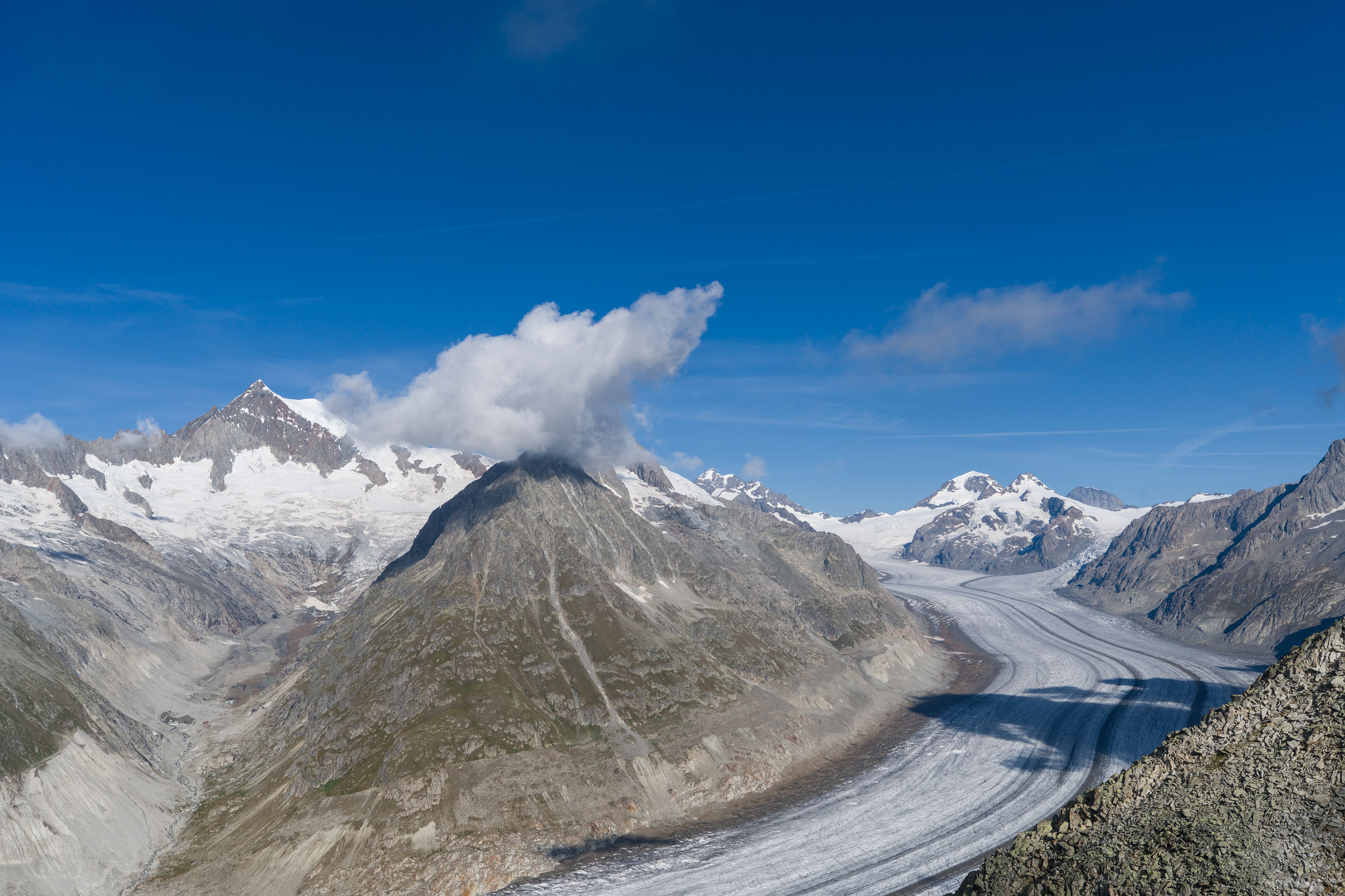 How Do Glacial Ecosystems Respond to Climate Change? — Photo by Jean-Paul Wettstein on Pexels