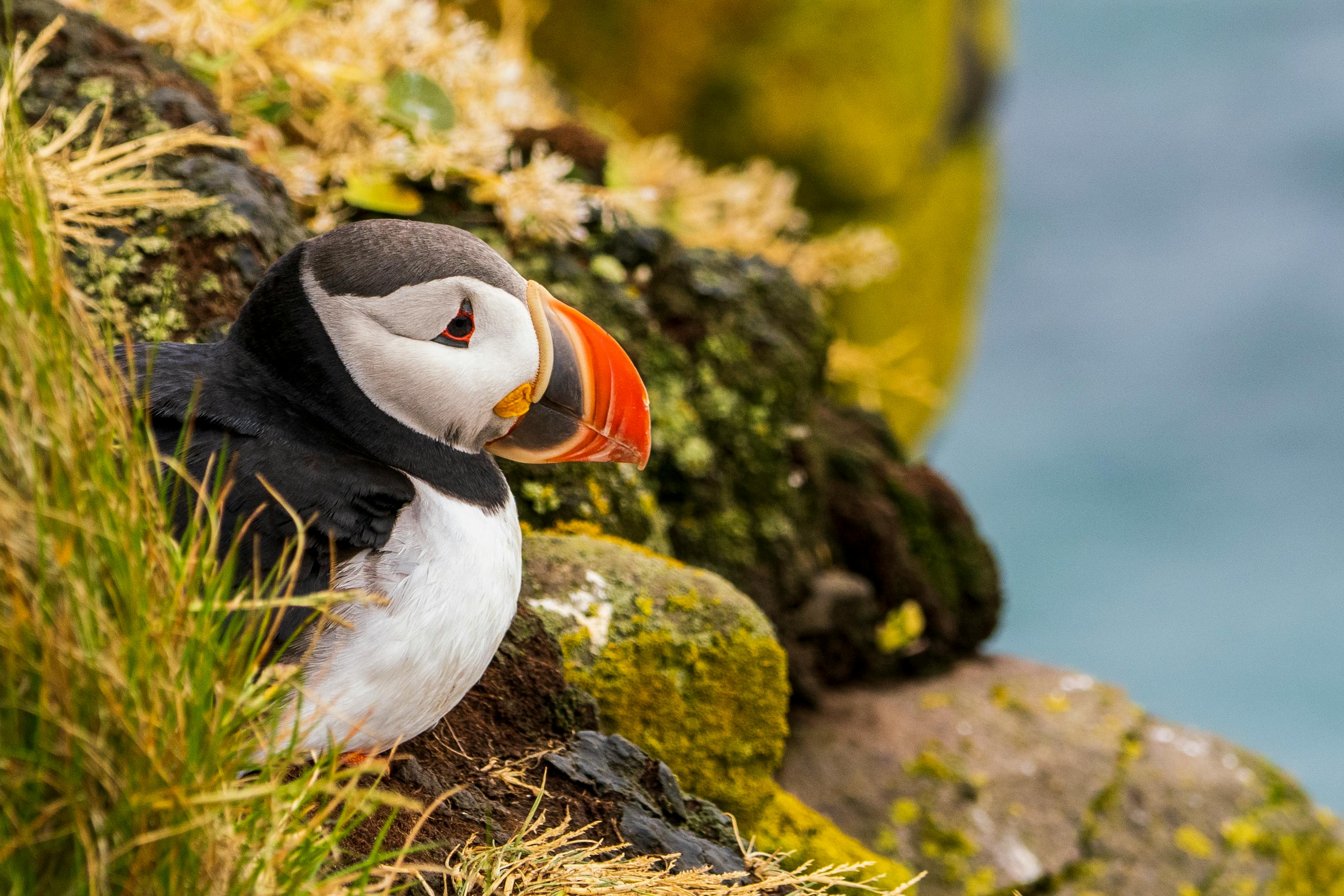 國際財經焦點：MSCI全球指數中陸企數量近兩年首度回升