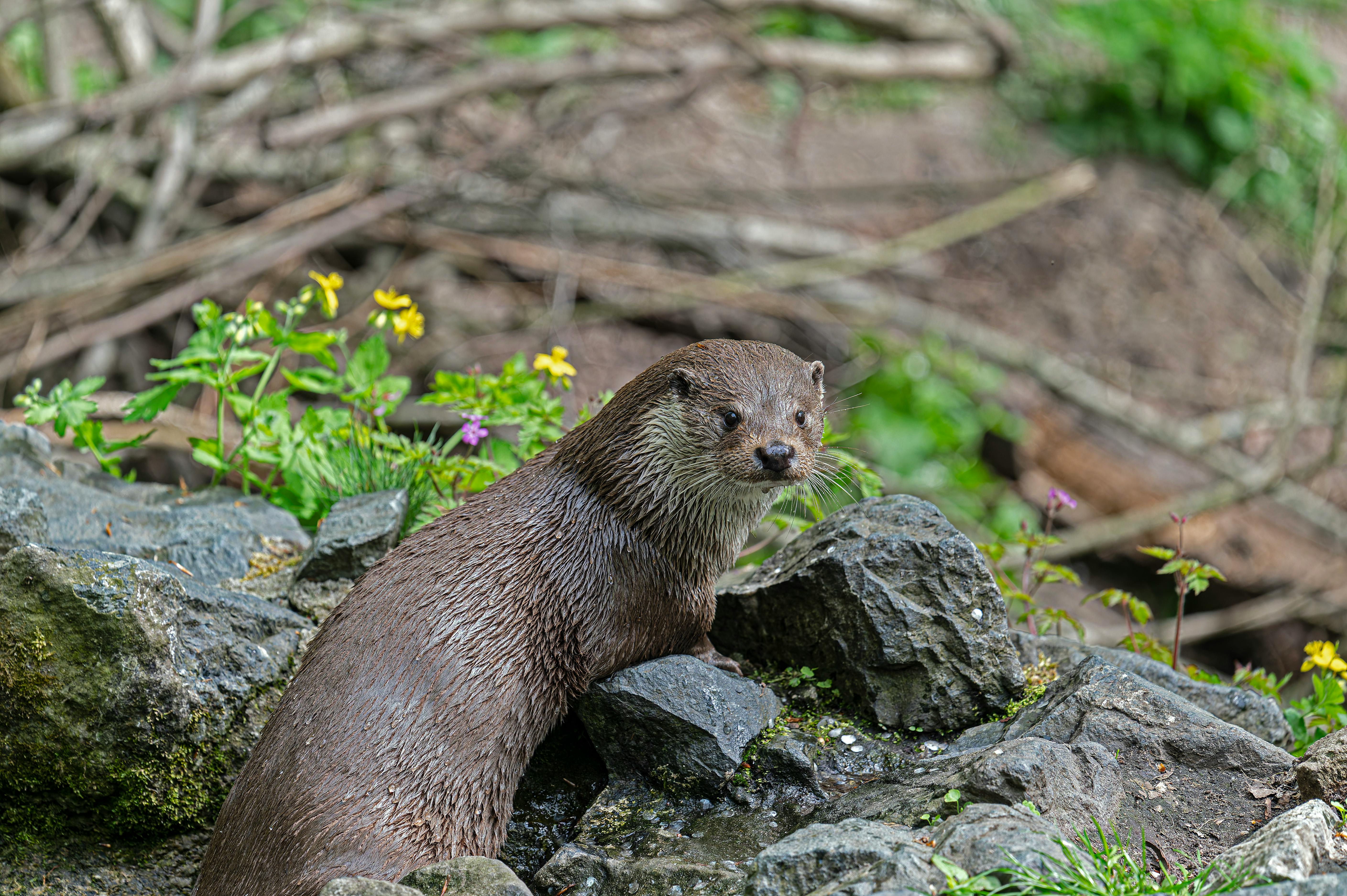 오산 성범죄 전문 변호사