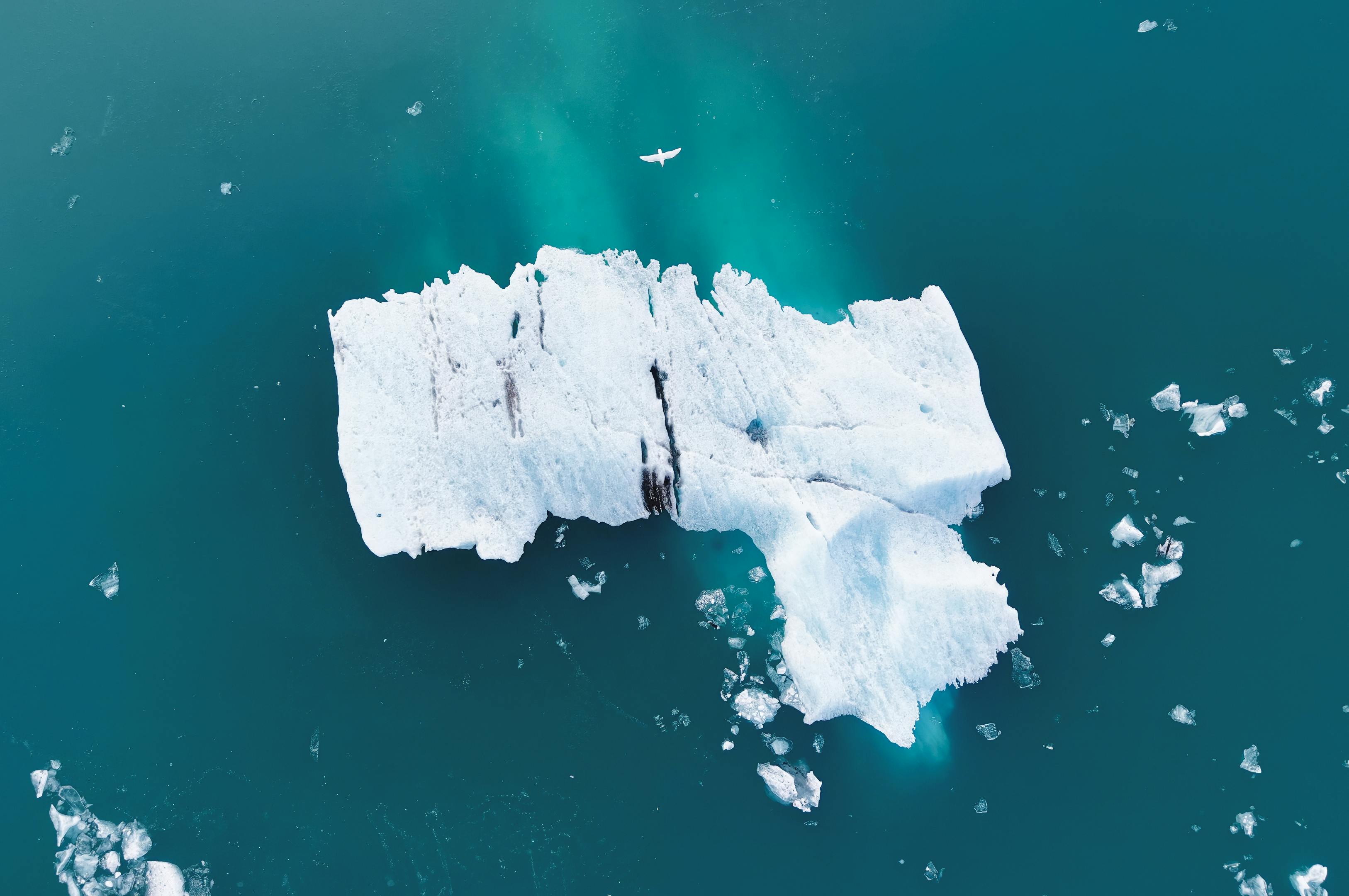 climate resilience, sea level rise, drought mitigation, ecosystem restoration, climate policy, Climate adaptation — Photo by 