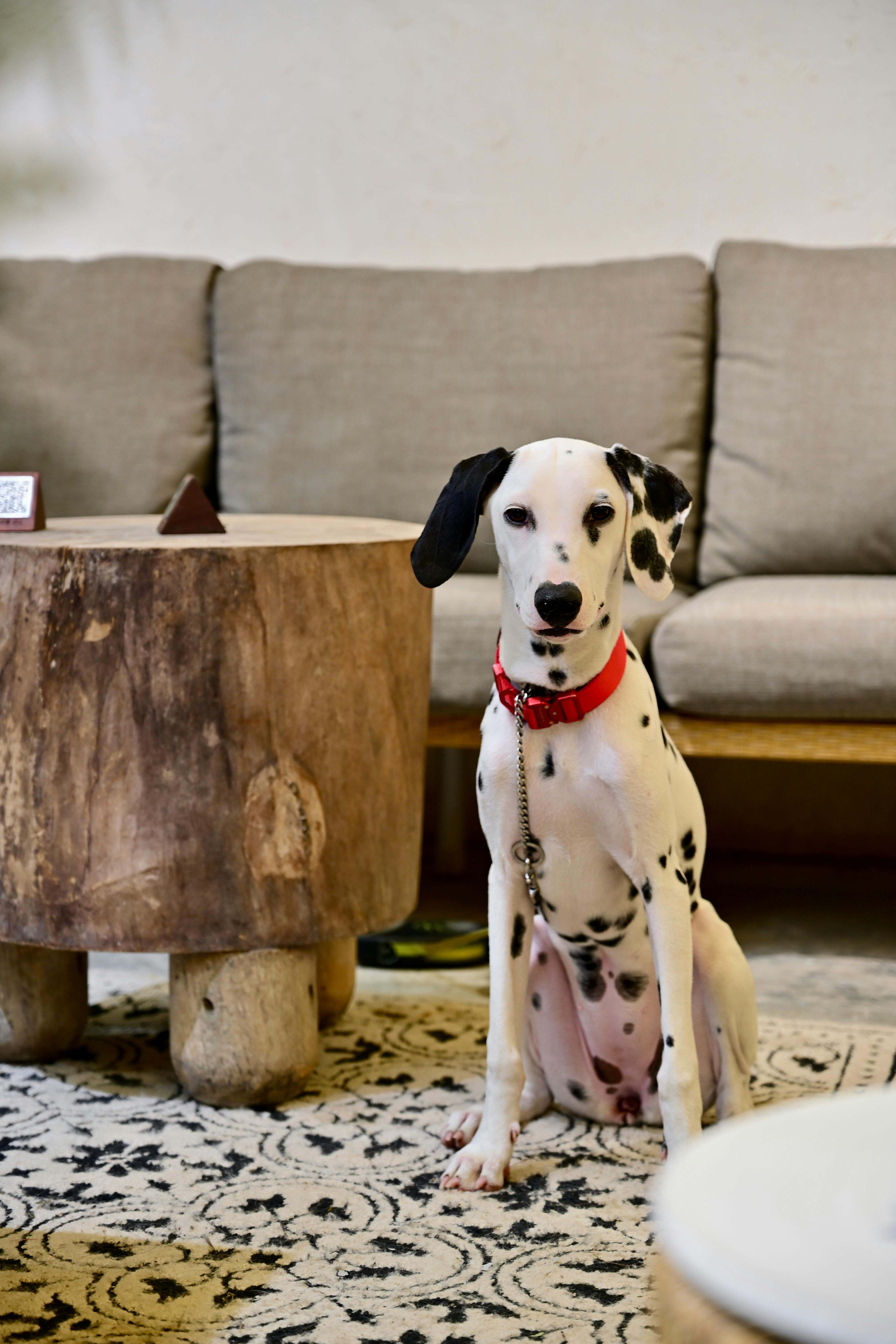 Emlak Piyasa Rapor Fırsatı: 2023 Yılında Yatırımcılar İçin En Karlı Seçenekler Nelerdir?