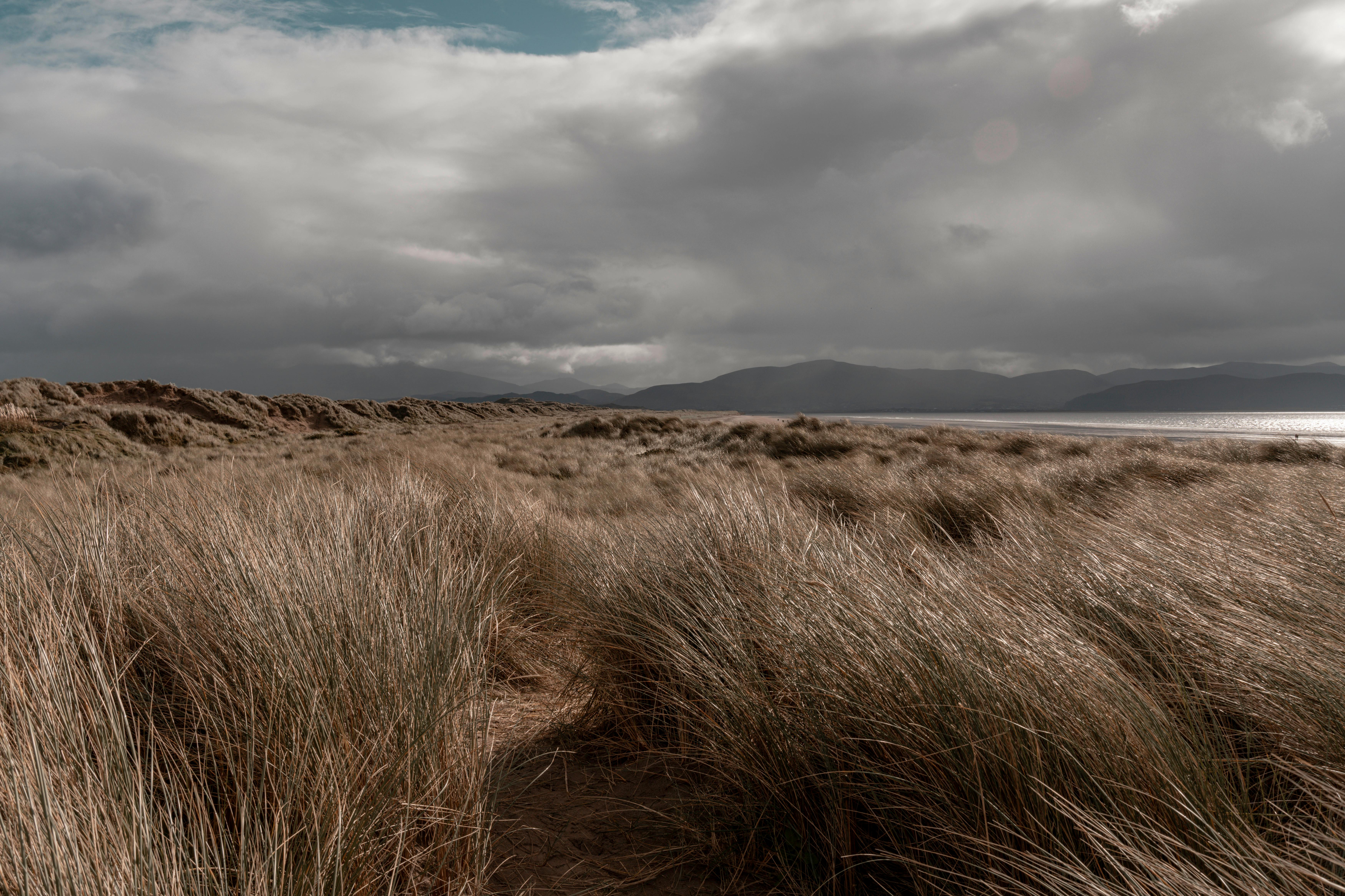 Expansive view of Irish beach dunes with dramatic clouds and sea horizon.