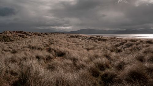 Free A stunning view of Ireland's coastal dunes with dramatic clouds and natural beauty. Stock Photo