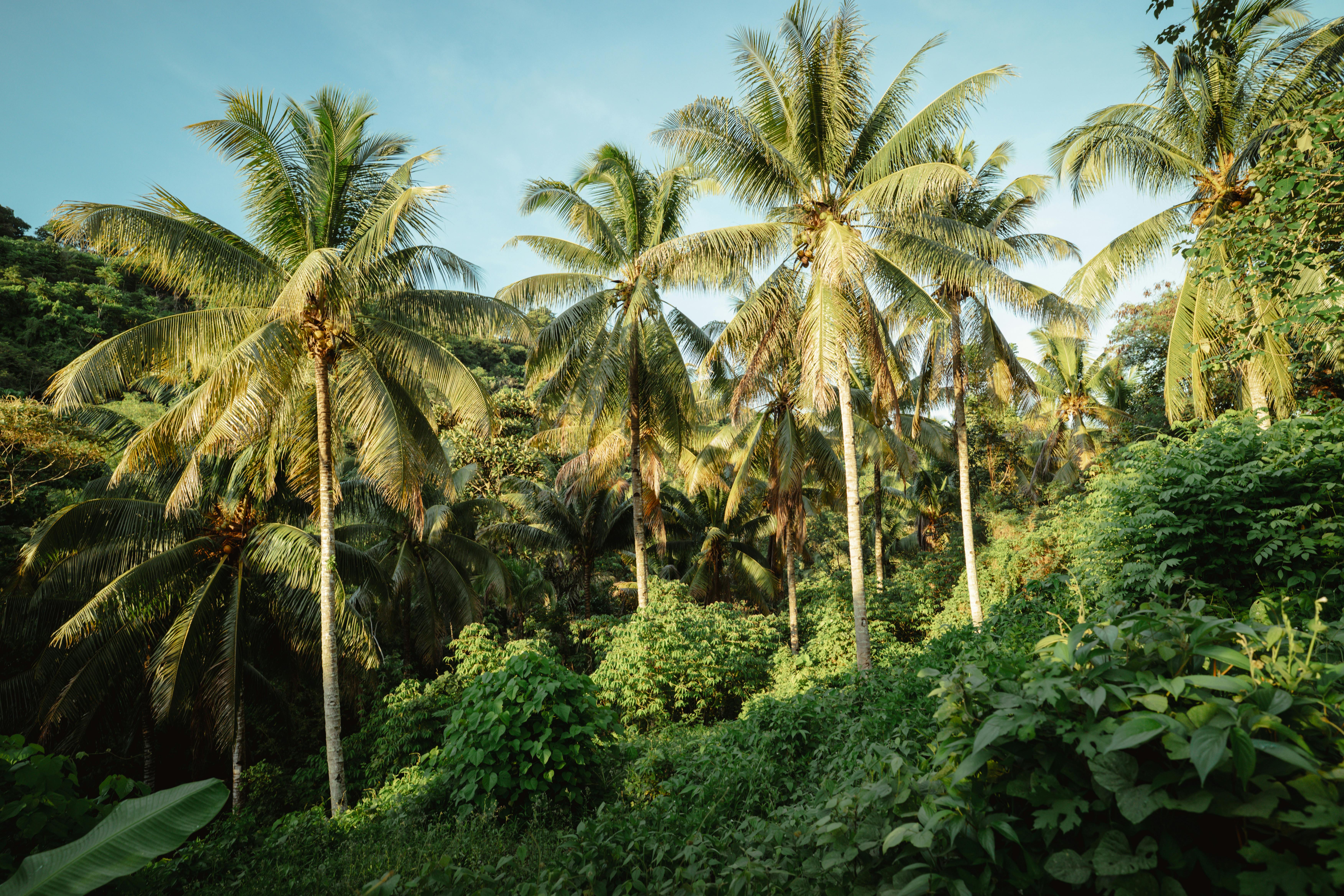 Eco-Friendly Escape: Embrace Sustainable Travel Adventures