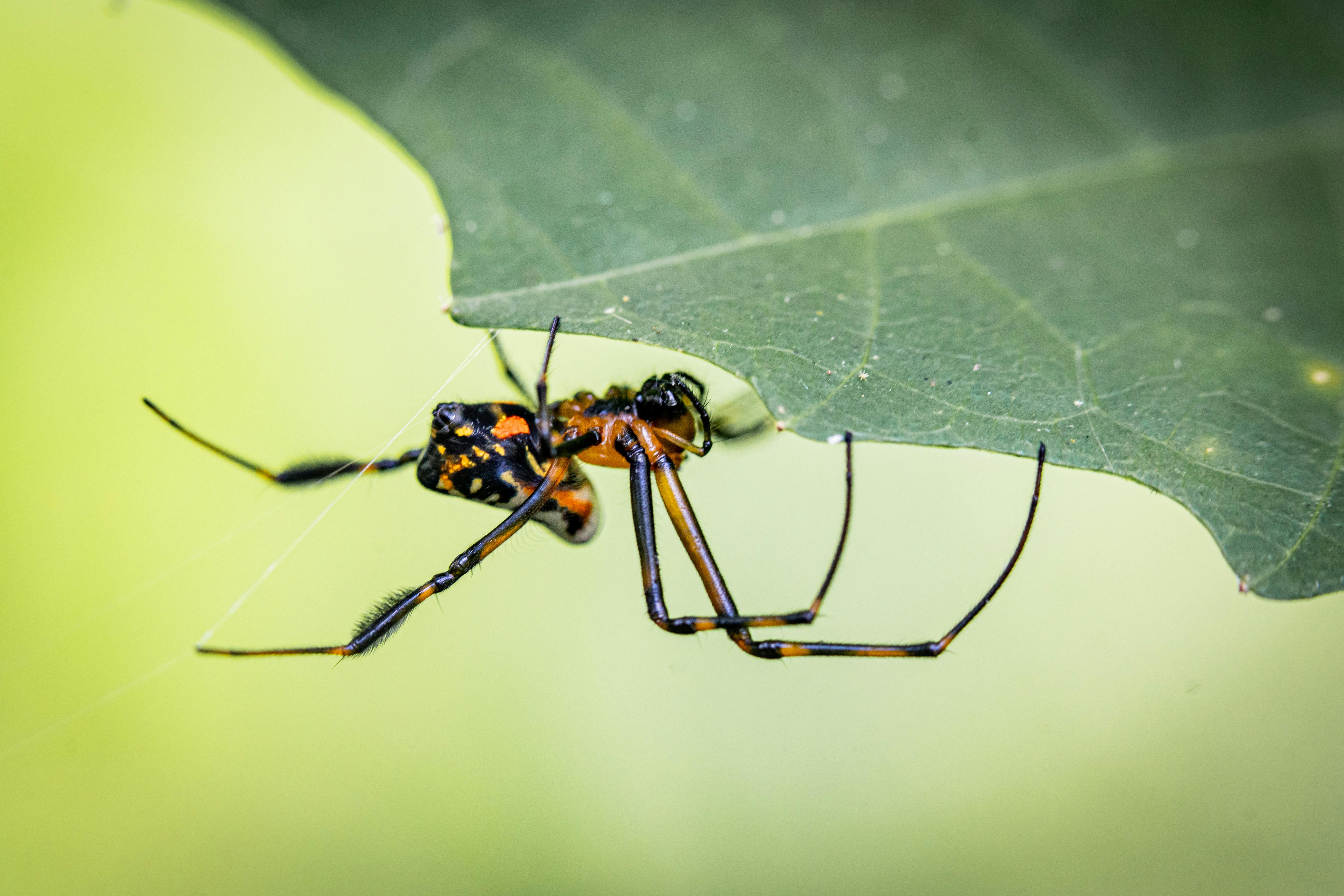 Taşınma Öncesi Bilmeniz Gereken 8 Altın Kural: Kiralık Daireye Geçişte Başarılı Olmanın Yolları