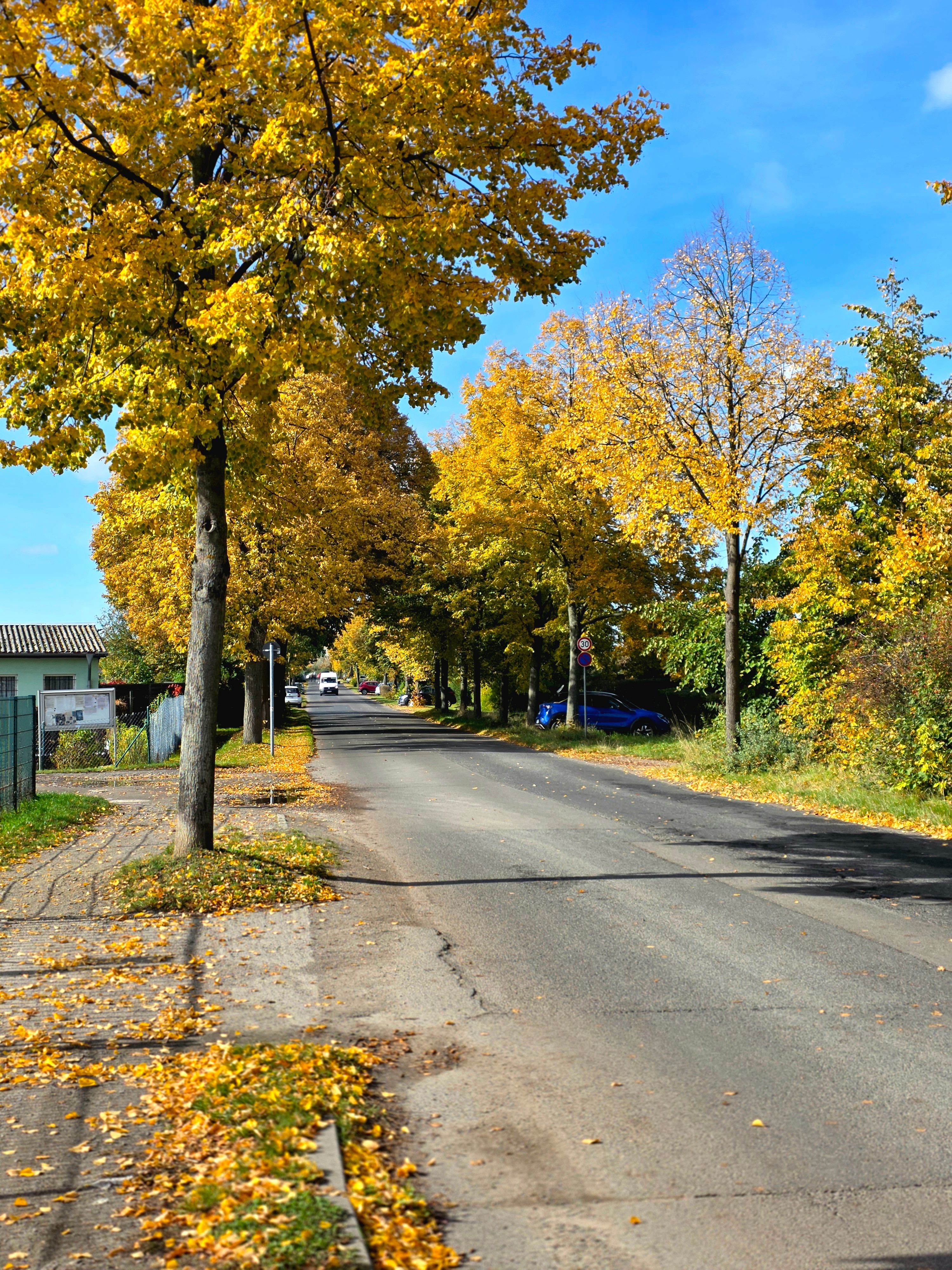 Scenic Autumn Street with Golden Foliage · Free Stock Photo