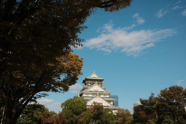 Osaka Castle above the treeline, Japan — photo by Nizar F on Pexels