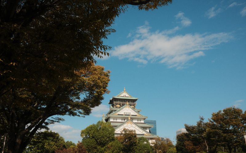 Osaka Castle Japan park spring historic