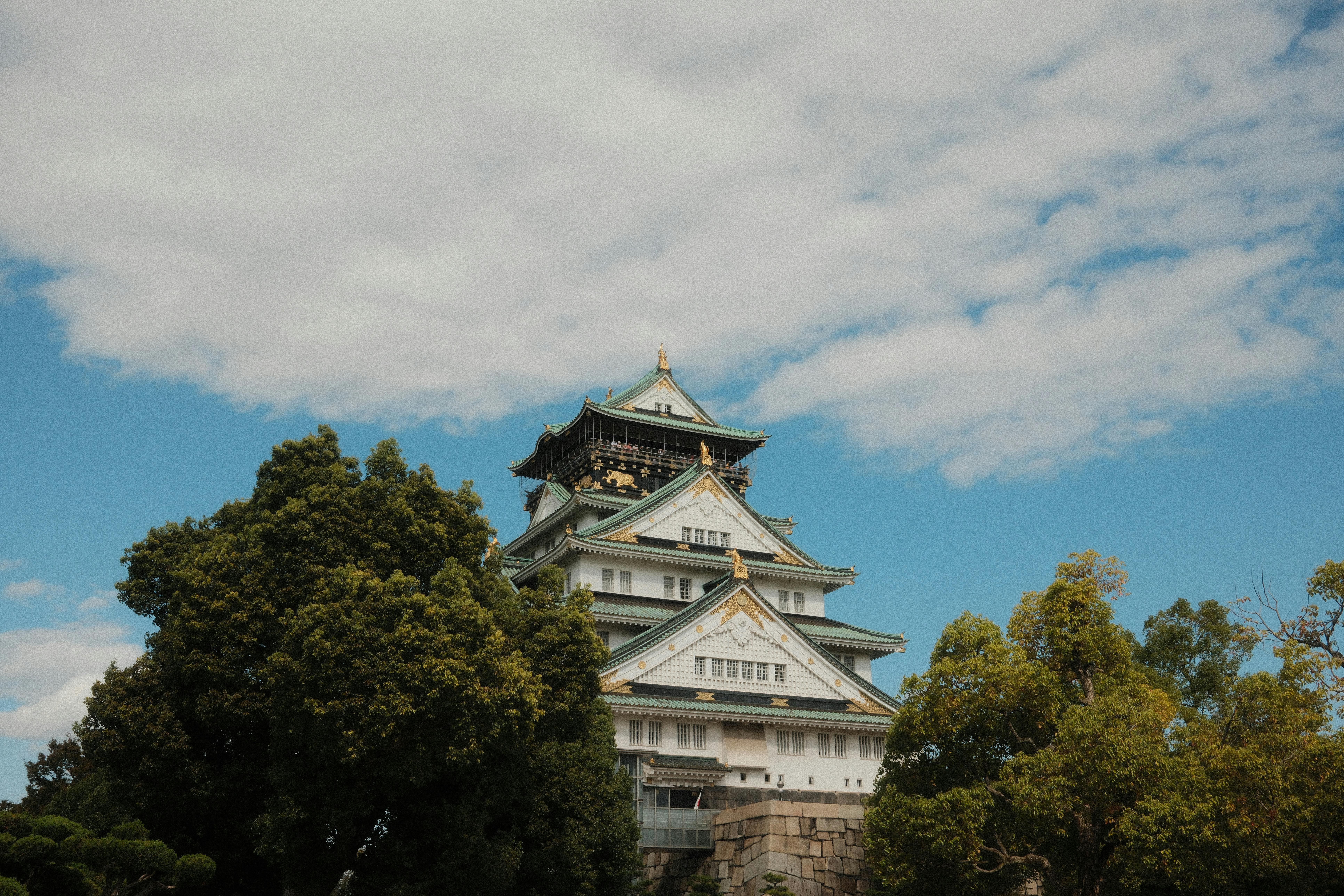 Chubb 여행자보험 관련 이미지